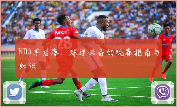 NBA季后赛:球迷必备的观赛指南与知识