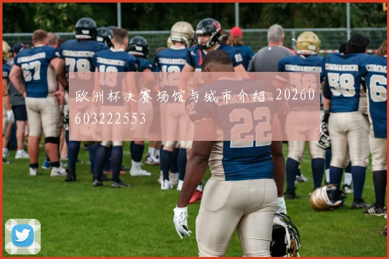 欧洲杯决赛场馆与城市介绍_20260603222553